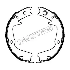 110337 TRUSTING