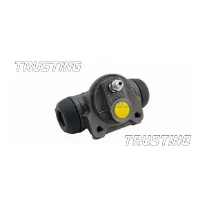 TRUSTING CF135