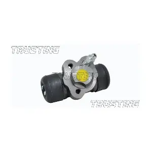CF807 TRUSTING