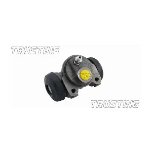 TRUSTING CF020