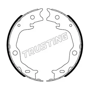 115.341 TRUSTING