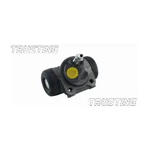 CF569 TRUSTING
