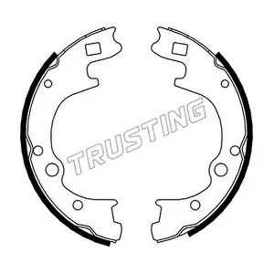 TRUSTING 046.209