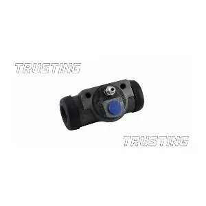 TRUSTING CF319
