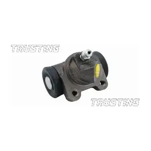 TRUSTING CF040