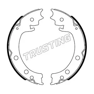 111.253 TRUSTING