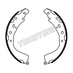 115.319 TRUSTING