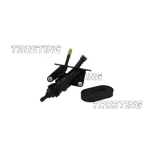 PZ289 TRUSTING
