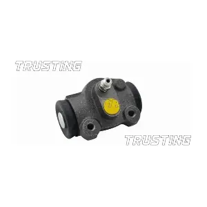 TRUSTING CF251