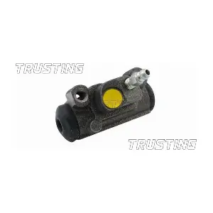 CF507 TRUSTING