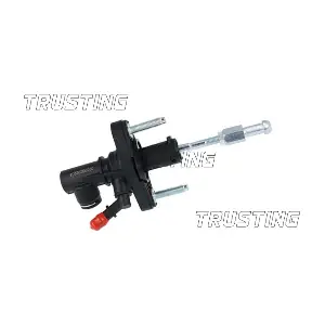 PZ239 TRUSTING