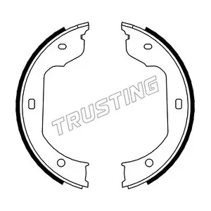 TRUSTING 019029