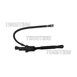 PZ207 TRUSTING