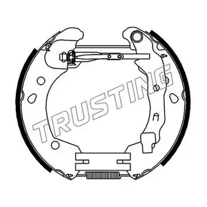 6396 TRUSTING