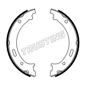 088.236 TRUSTING