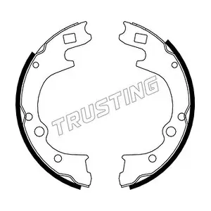 049155 TRUSTING