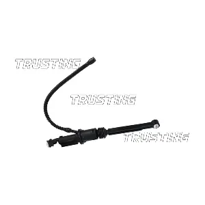 PZ286 TRUSTING