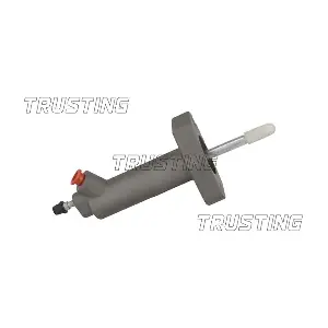CZ109 TRUSTING