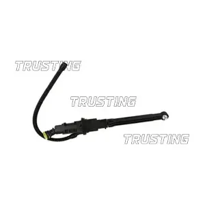 PZ267 TRUSTING