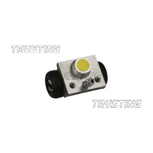 TRUSTING CF1109