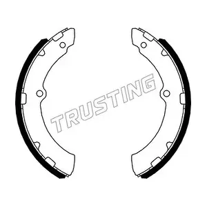 115.336 TRUSTING