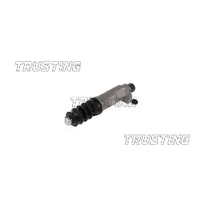 CZ134 TRUSTING