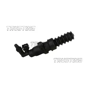 TRUSTING CZ082