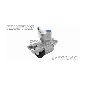 TRUSTING CF261
