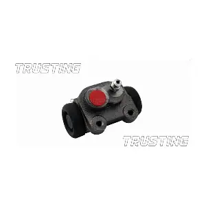 TRUSTING CF043