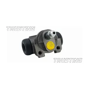 TRUSTING CF003