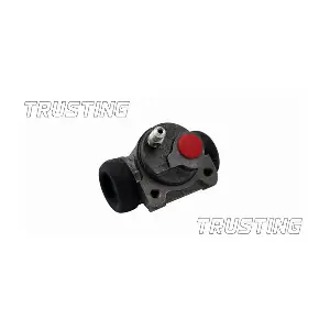 TRUSTING CF025