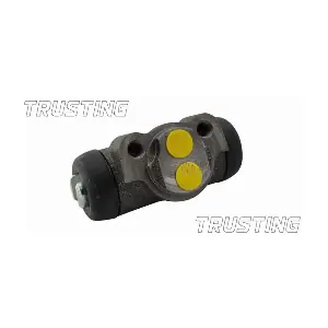 CF541 TRUSTING