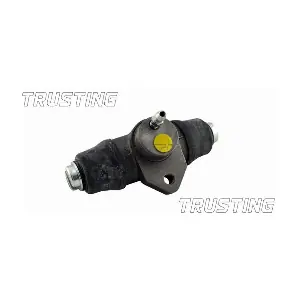 TRUSTING CF229