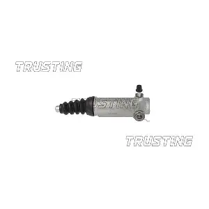 TRUSTING CZ032