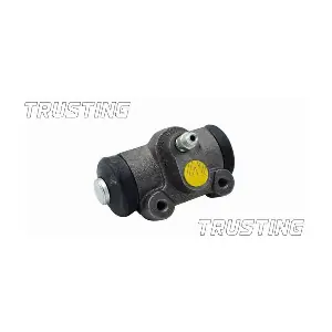 TRUSTING CF030