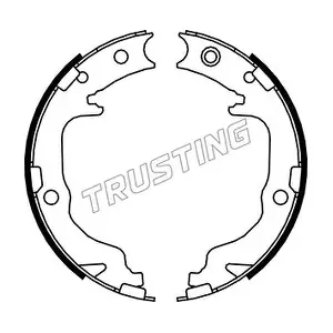 088237 TRUSTING