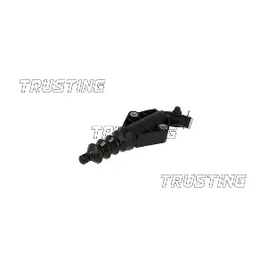CZ069 TRUSTING