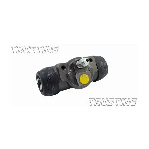 TRUSTING CF460