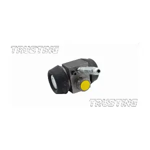 CF208 TRUSTING