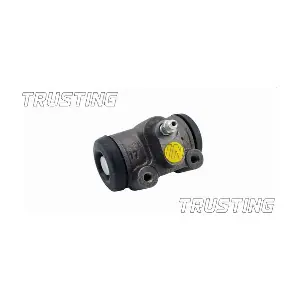 CF210 TRUSTING
