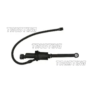 PZ234 TRUSTING