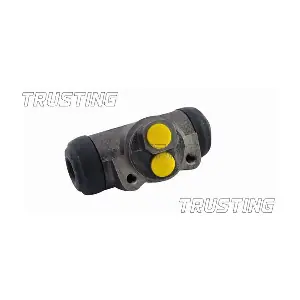 CF823 TRUSTING