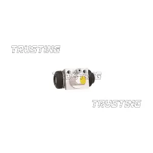 TRUSTING CF1022