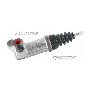 CZ036 TRUSTING