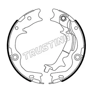 046231 TRUSTING