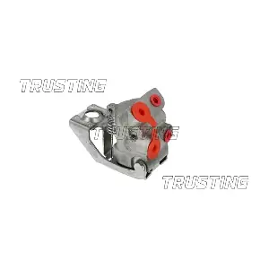 CT043 TRUSTING