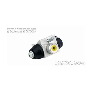 CF1002 TRUSTING