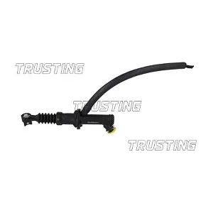 PZ241 TRUSTING
