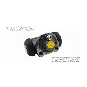 TRUSTING CF031