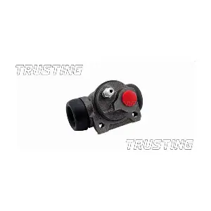TRUSTING CF062